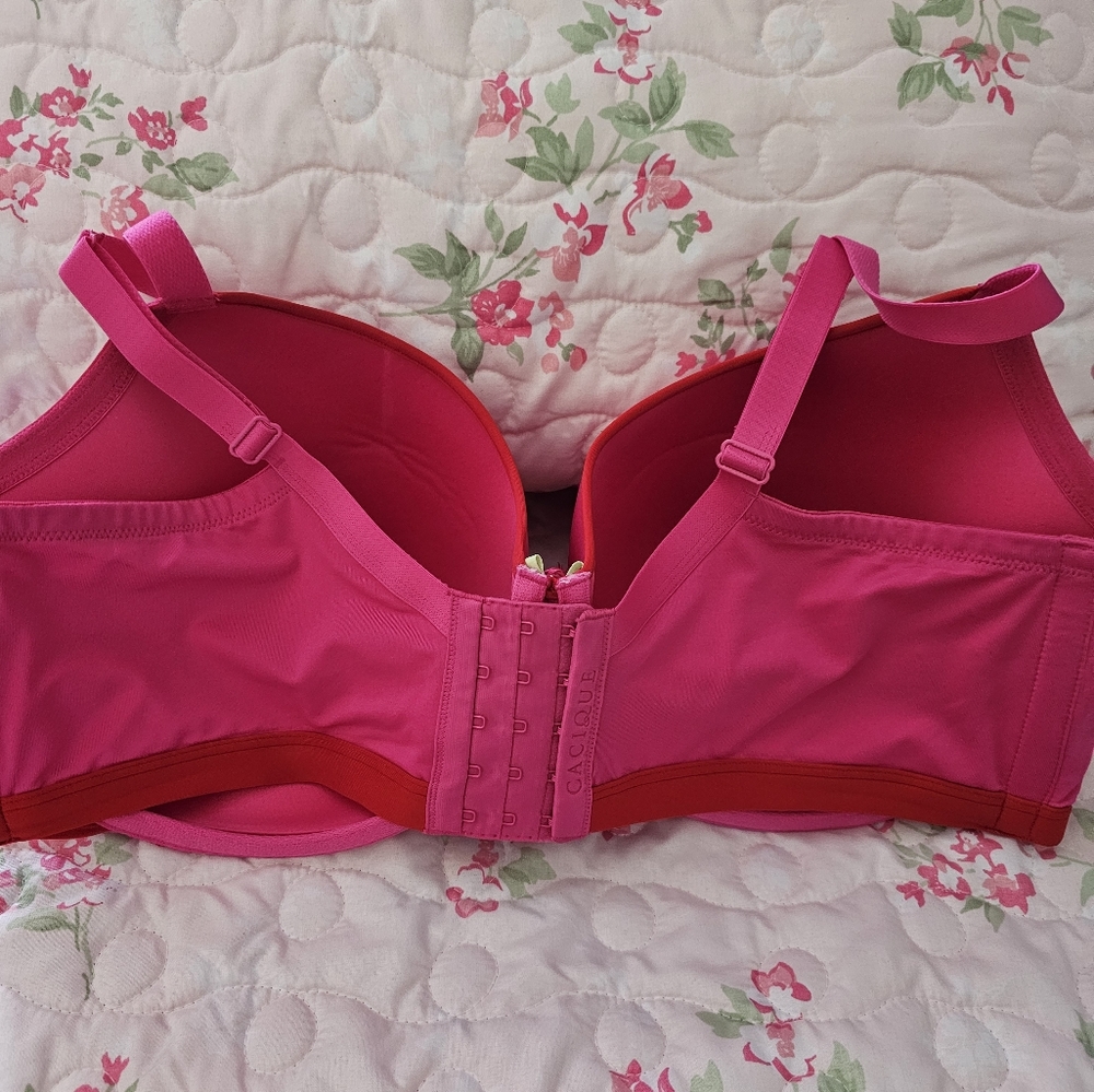 Cacique Bra - image 5